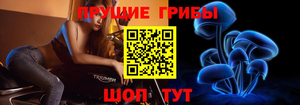 Галлюциногенные грибы MAGIC MUSHROOMS  Галлюциногенные грибы Psilocybe  Алейск  Вход с VPN 